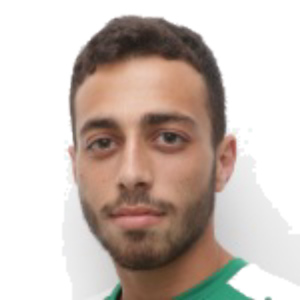 T. Ioannou