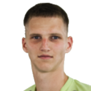 D. Tananeev