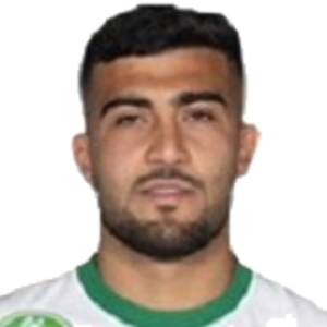 M. Abu Fani