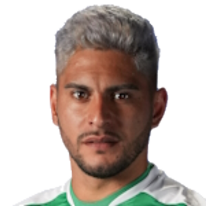L. Riveros