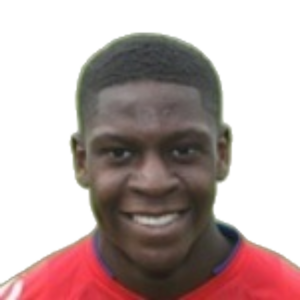 J. Nouble