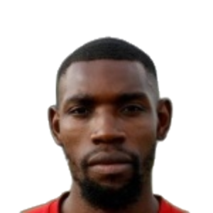 L. Ndlovu