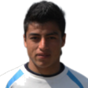 M. Alegre