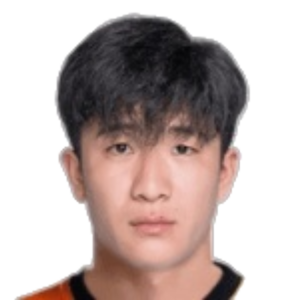 Wang Zihao