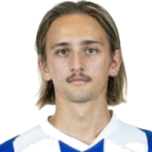 M. Karbownik