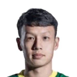 Gao Tianyi