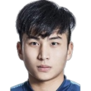 Wang Zhenghao