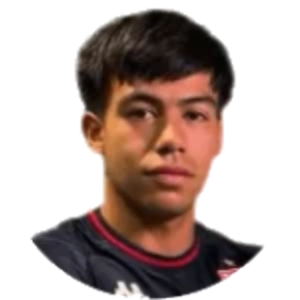D. Sarmiento