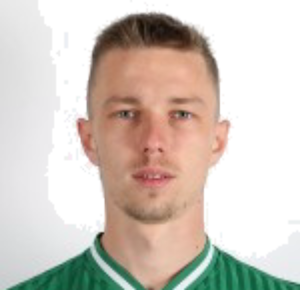 D. Gorovykh