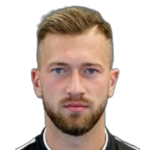 P. Zulj