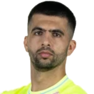 N. Labrović