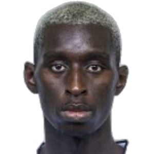 P. Ndiaye