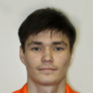 I. Druzhinin