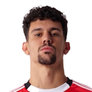 Tomás Araújo