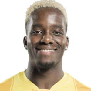 Adedire Emmanuel  Awokoya-Mebude