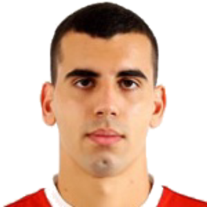 E. Ajdinovic