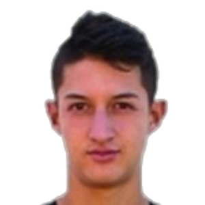 Andrés David Mena Montenegro