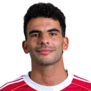 Ahmed Zizo