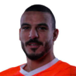 Shokry Naguib