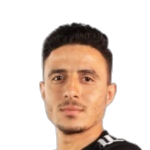 Mahmoud Shedid Kenawi