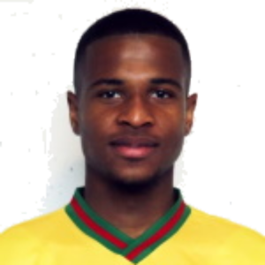 N. Koffi