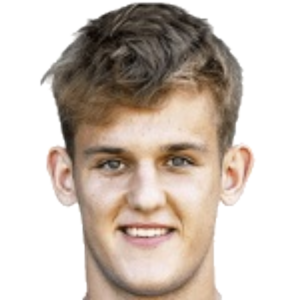 D. Tomic