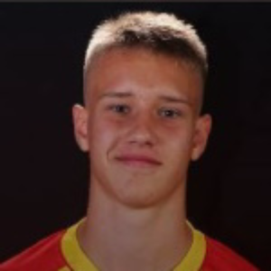 K. Toporkiewicz