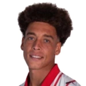 A. Witsel