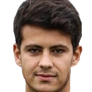 Đani Salčin