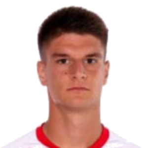 N. Djuricic