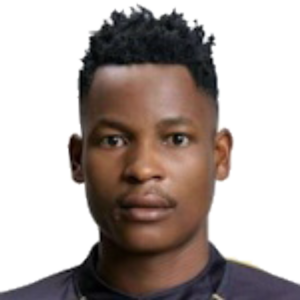 J. Dlamini