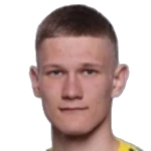 P. Pashevich
