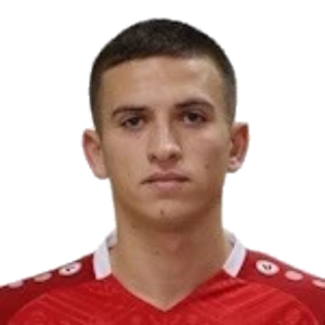 M. Ștefan
