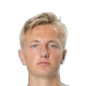 V. Skjærvik