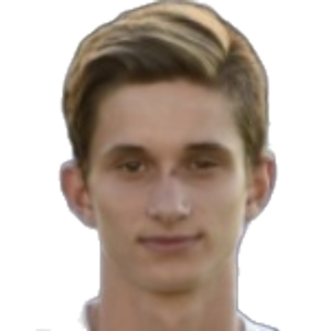 D. Pleštil