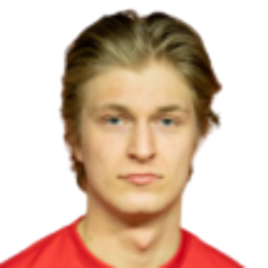 J. Lipponen