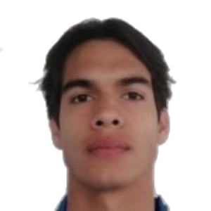L. Puente