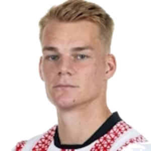 P. Lienhart