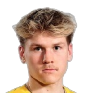 V. Hänninen