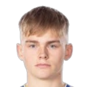 J. Bjarnason