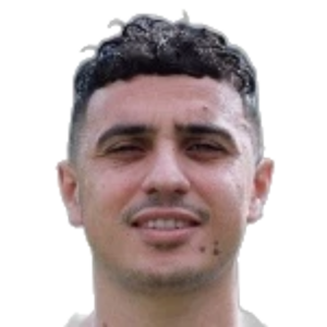 Karim Hafez