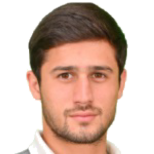 N. Gigolaev