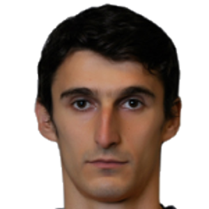 D. Majkić