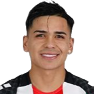 N. Meza