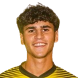 D. Veiga