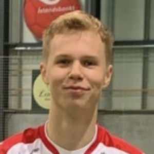 B. Brynjolfsson