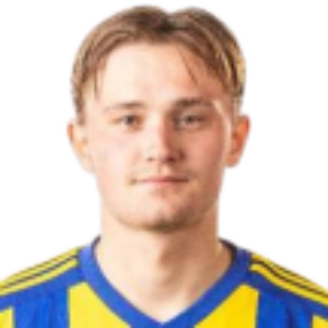 J. Halminen