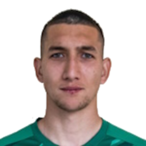 N. Karabashev