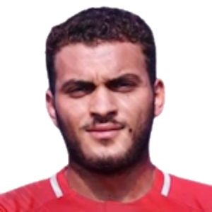 Hesham Hafez