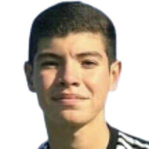 C. Ibarra